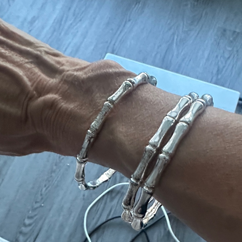 Banana Republic Silver Bamboo-Inspired Bracelet